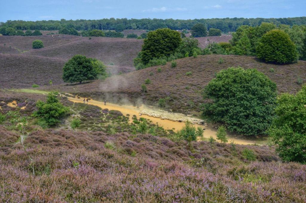 Herberg De Zwaan Elspeet Bagian luar foto