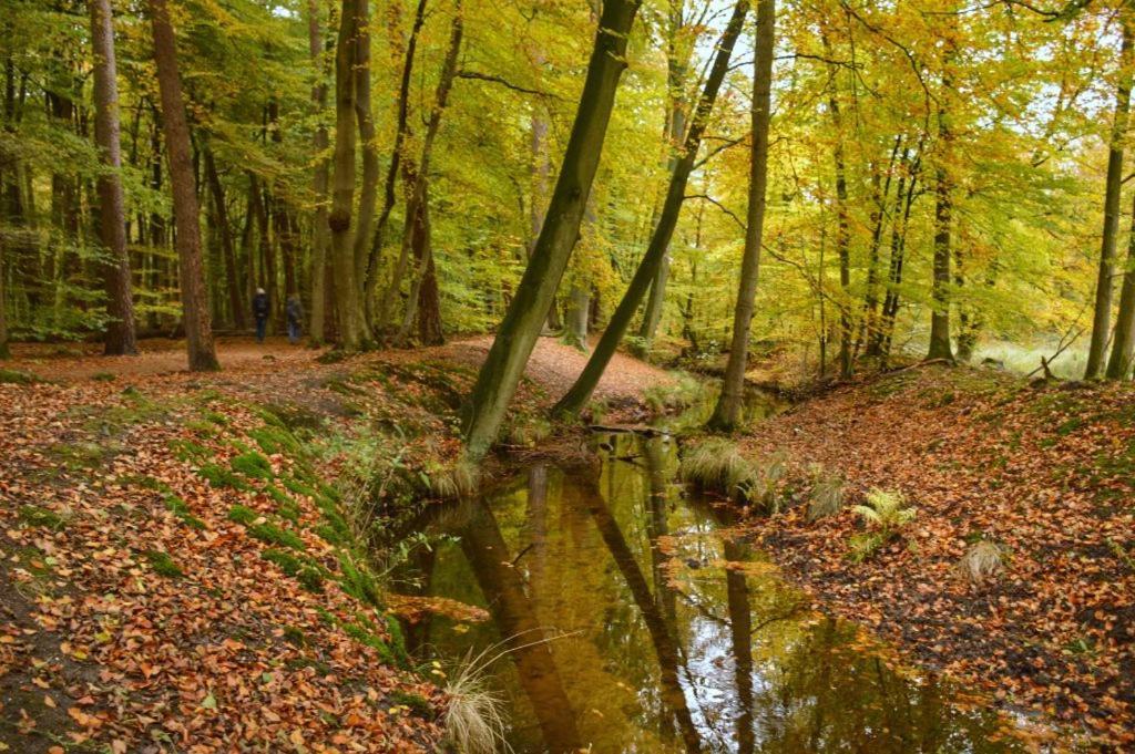 Herberg De Zwaan Elspeet Bagian luar foto